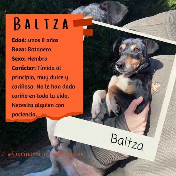 Baltza