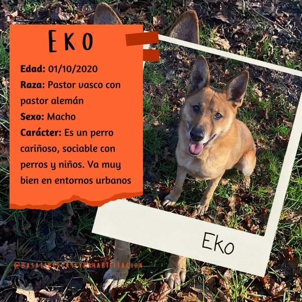 Eko