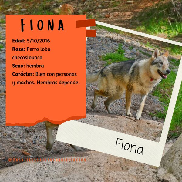Fiona