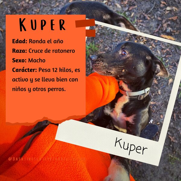 Kuper