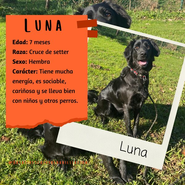 Luna