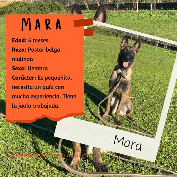 Mara